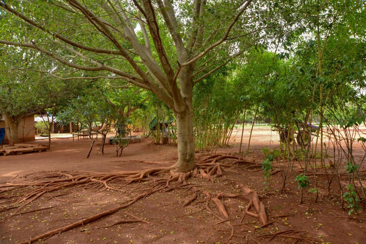 Our Native Village Gādigarpālya Buitenkant foto