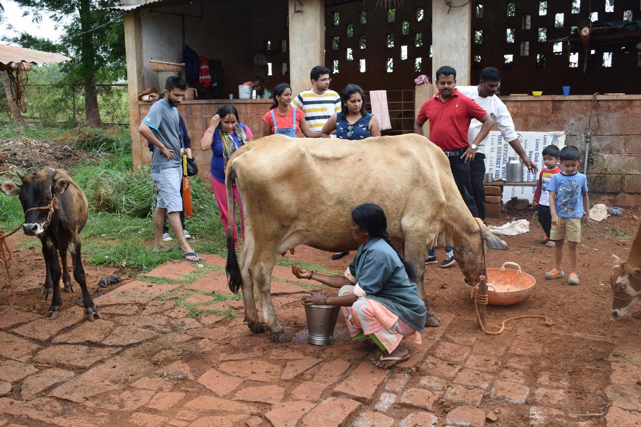 Our Native Village Gādigarpālya Buitenkant foto