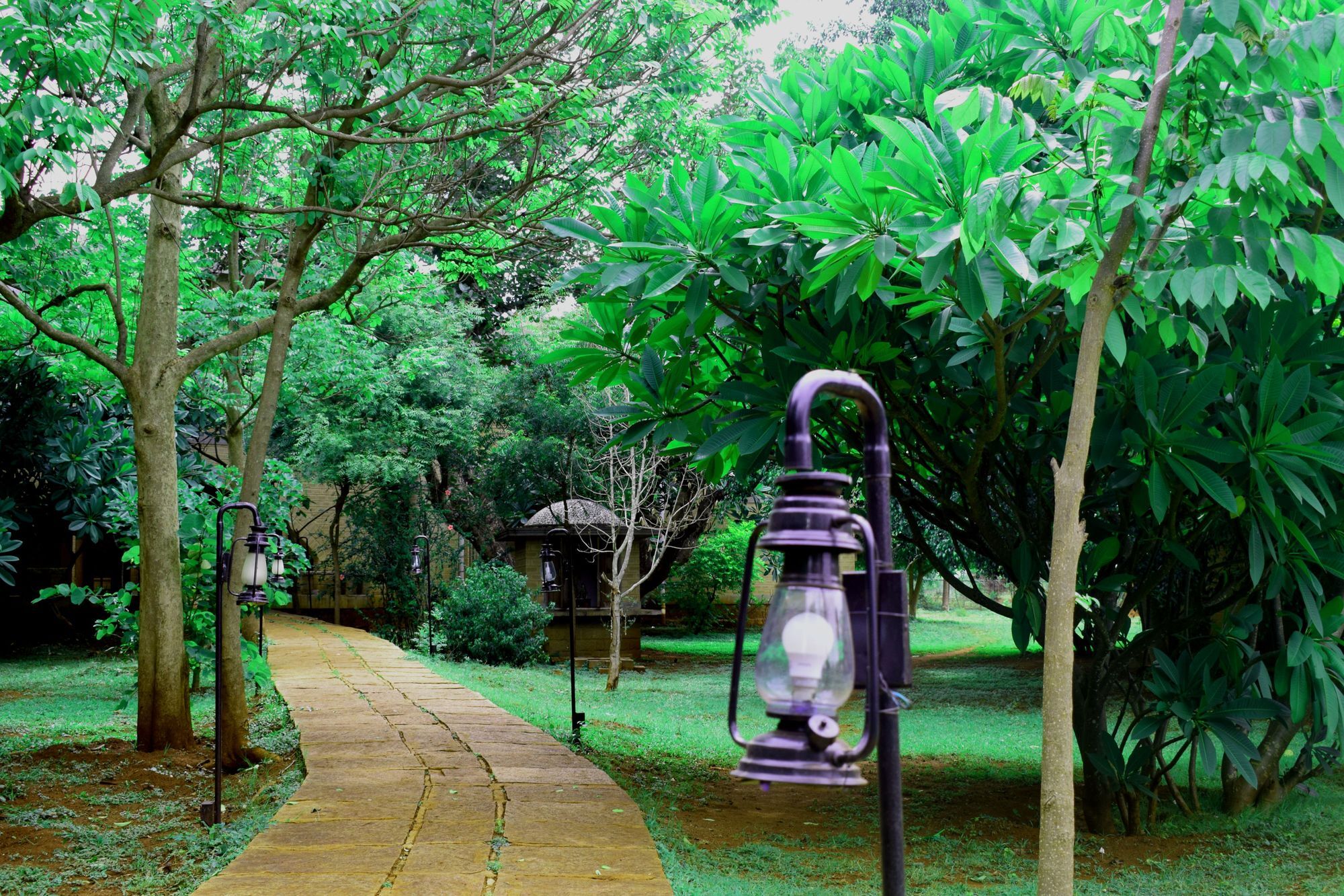 Our Native Village Gādigarpālya Buitenkant foto