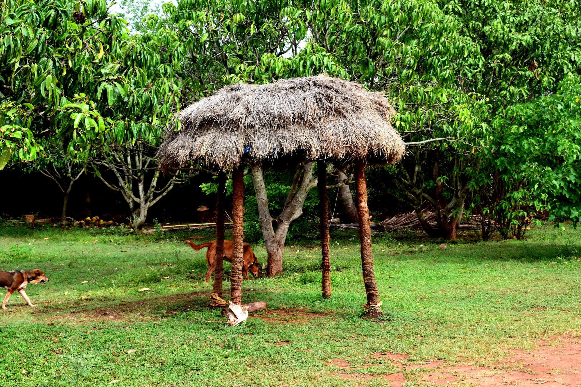 Our Native Village Gādigarpālya Buitenkant foto
